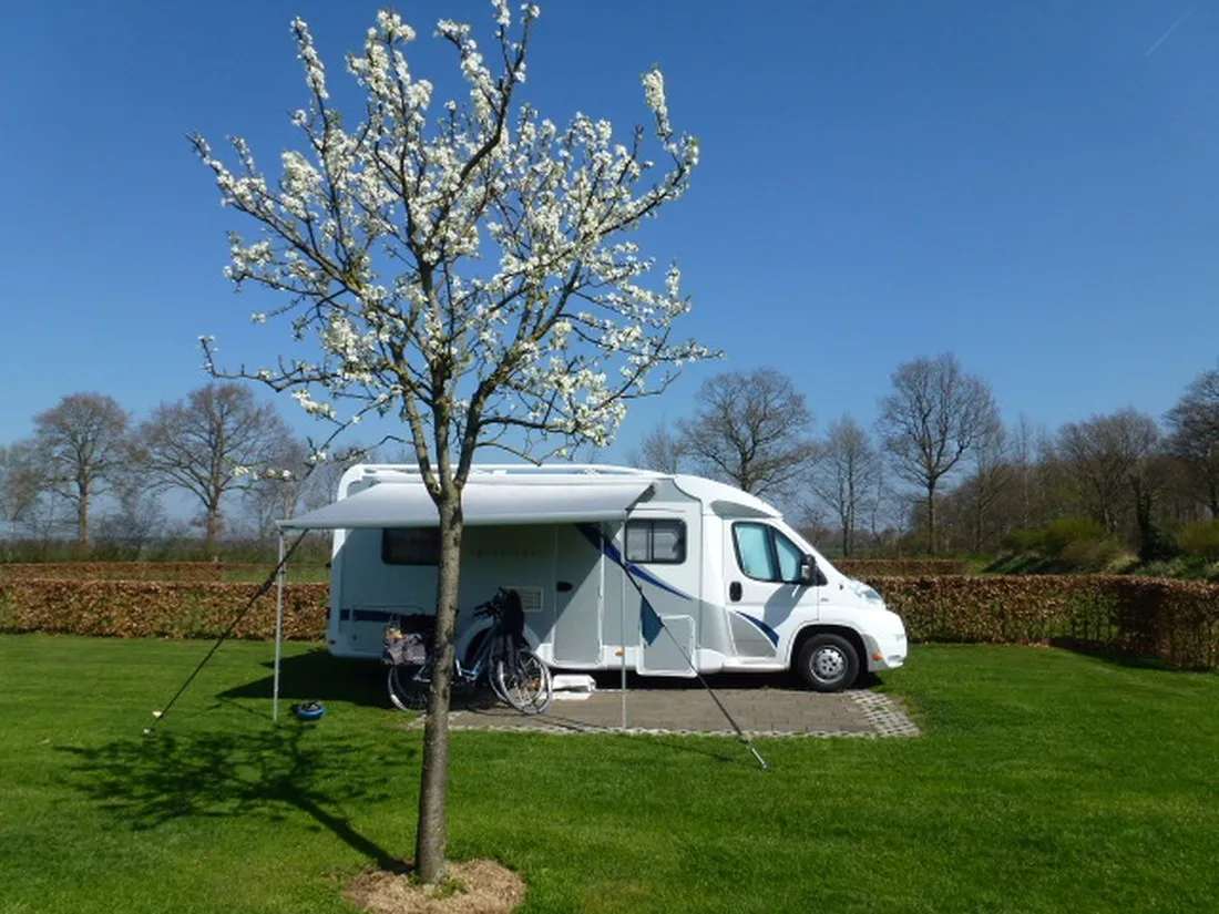 het-noordenveld-wapse-l7tqa
