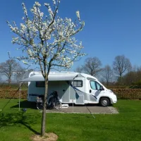 het-noordenveld-wapse-l7tqa