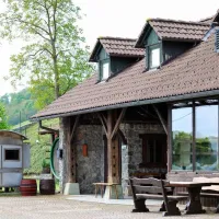 camping-pivoteka-bileljsko-bizeljsko-aydnr