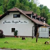 camping-pivoteka-bileljsko-bizeljsko-faers