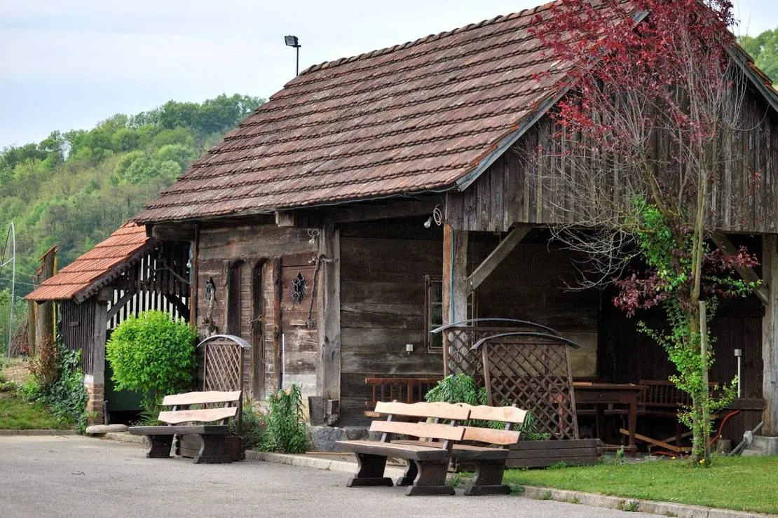 camping-pivoteka-bileljsko-bizeljsko-p2gw6