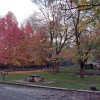 vaughan-springs-campground-vaughan-jhgjm