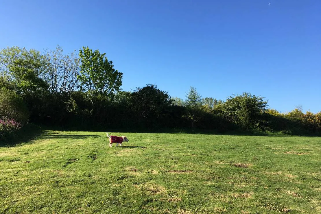 penhalvean-pottery-campsite-penhalvean-dtaaa
