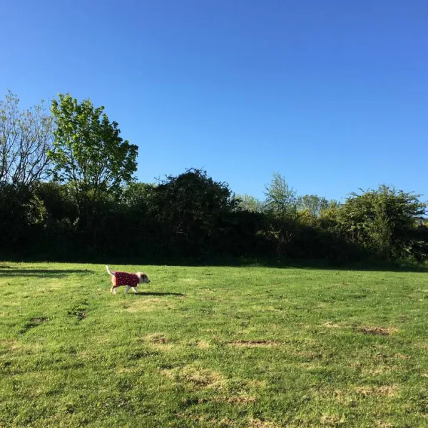 penhalvean-pottery-campsite-penhalvean-dtaaa