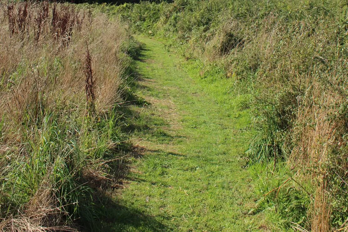 penhalvean-pottery-campsite-penhalvean-khcz7