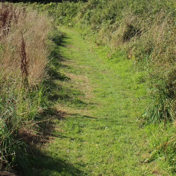 penhalvean-pottery-campsite-penhalvean-khcz7