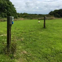 penhalvean-pottery-campsite-penhalvean-tydv4