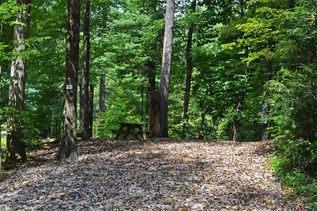 orchard-lake-campground-saluda-avywo