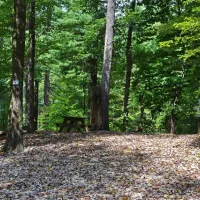 orchard-lake-campground-saluda-avywo