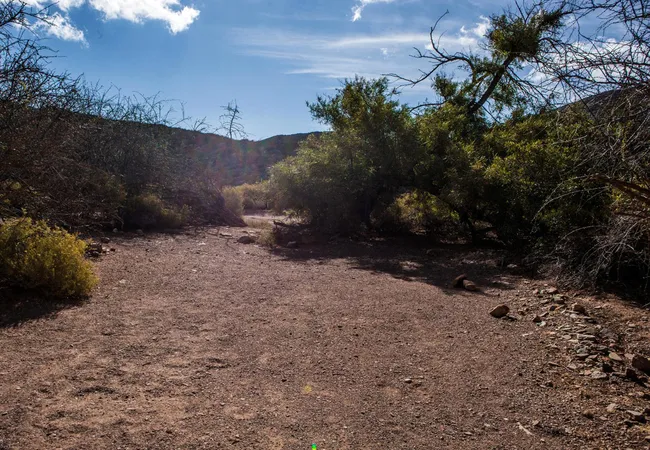 gecko-rock-camping-25km-from-touws-river-touwsrivier-geaua