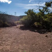 gecko-rock-camping-25km-from-touws-river-touwsrivier-geaua