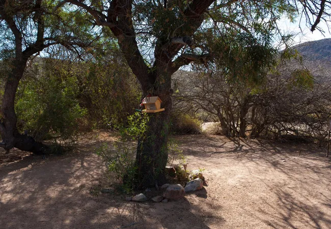 gecko-rock-camping-25km-from-touws-river-touwsrivier-rh2cy