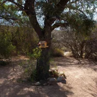 gecko-rock-camping-25km-from-touws-river-touwsrivier-rh2cy