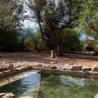 gecko-rock-camping-25km-from-touws-river-touwsrivier-ygwm6