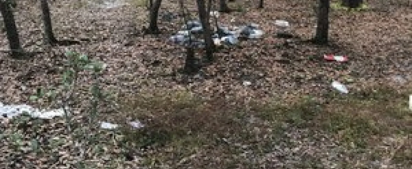 Pitts Landing