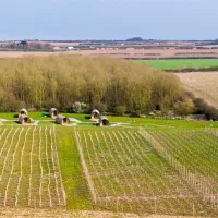 Flamborough Holiday Homes