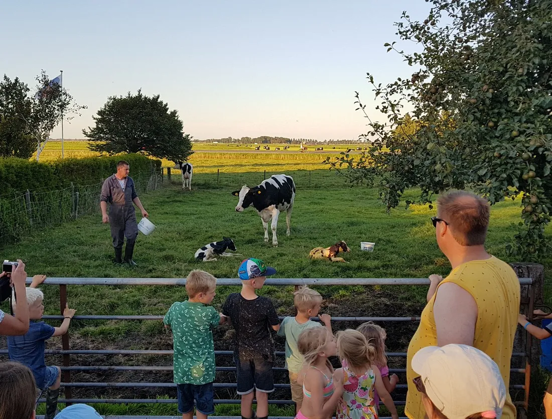 boerencamping-de-kei-castricum-df9yv