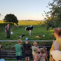 boerencamping-de-kei-castricum-df9yv