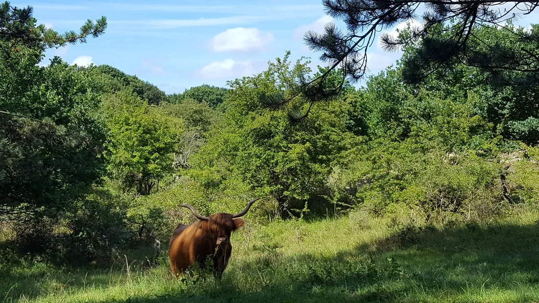 boerencamping-de-kei-castricum-jutpt