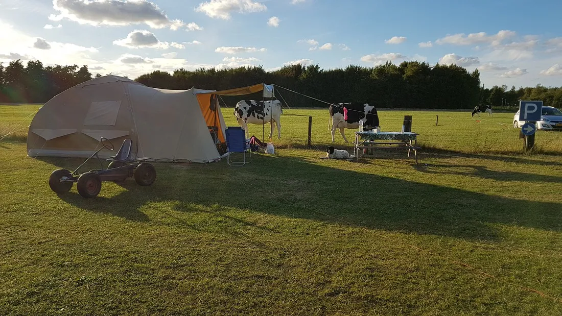 boerencamping-de-kei-castricum-mbxzs