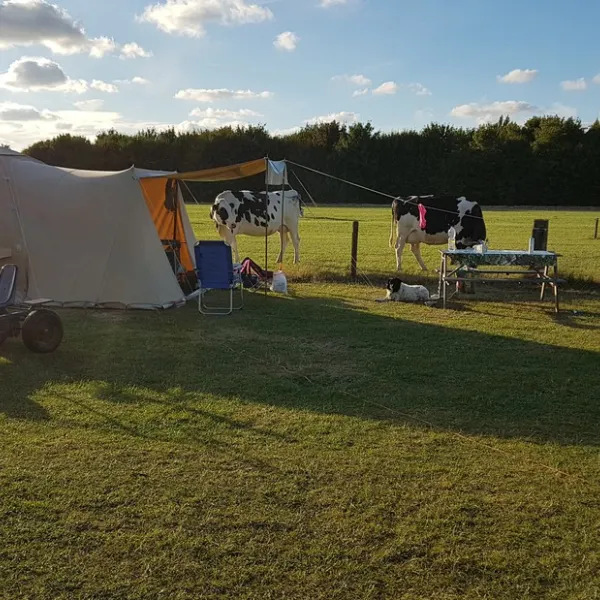 boerencamping-de-kei-castricum-mbxzs