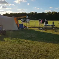 boerencamping-de-kei-castricum-mbxzs
