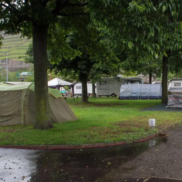 camping-de-la-pichette-corseaux-zxrys