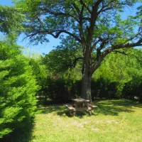 camping-de-ladrech-aspres-sur-buech-sbdtu