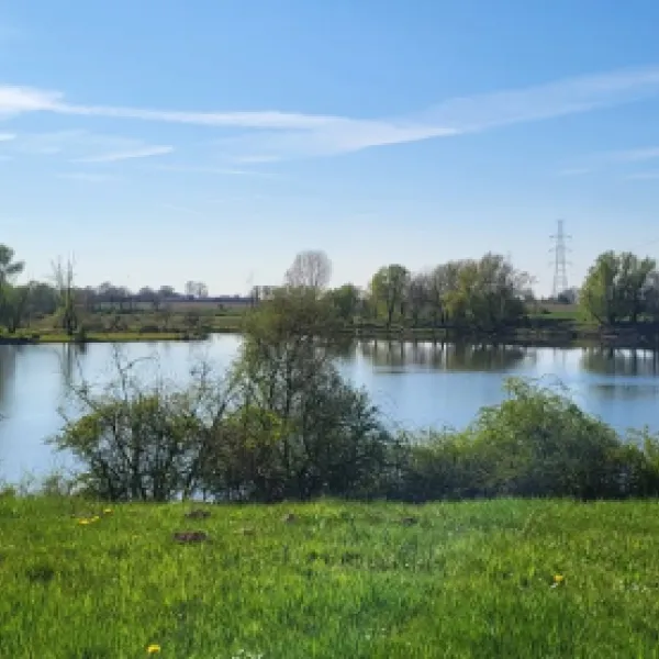 Teggerseplas