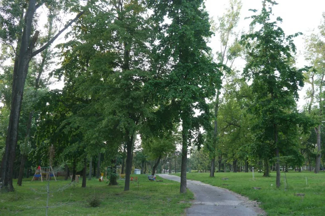 areal-zdravia-zlate-piesky-bratislava-pxhq6