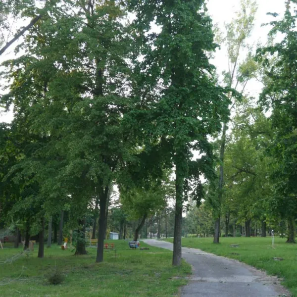 areal-zdravia-zlate-piesky-bratislava-pxhq6