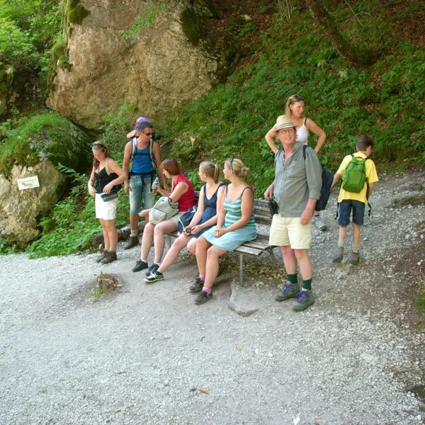 Rad-Wandercamping Ponderosa