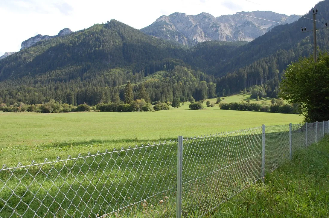 schneider-pfronten-meilingen-exwgu