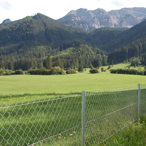 schneider-pfronten-meilingen-exwgu
