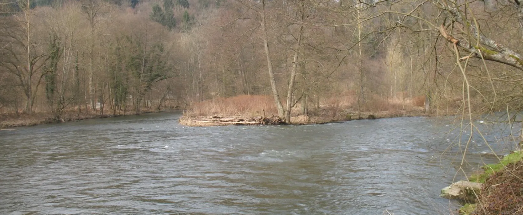 Le Pont de Targnon