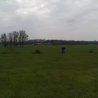 Dinkelweide