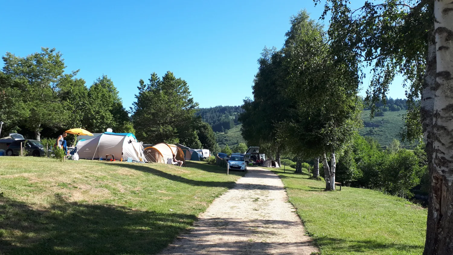 la-cigale-de-lallier-langogne-8qiz1