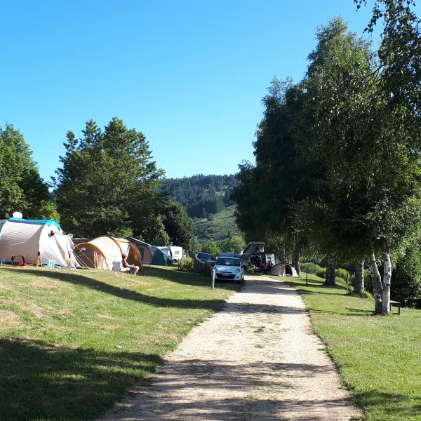 la-cigale-de-lallier-langogne-8qiz1