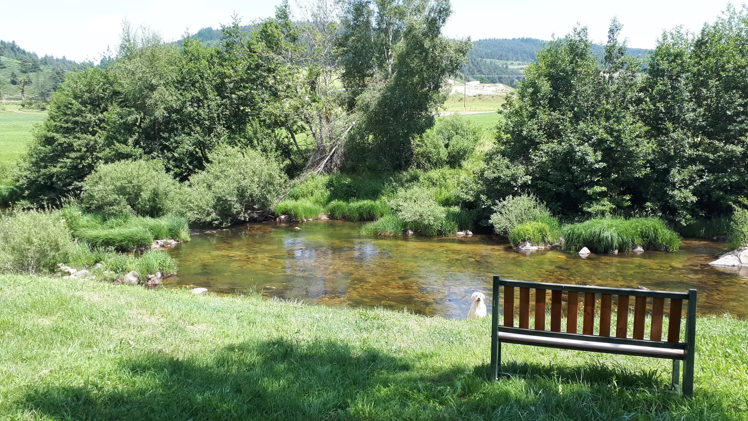 la-cigale-de-lallier-langogne-imdvi