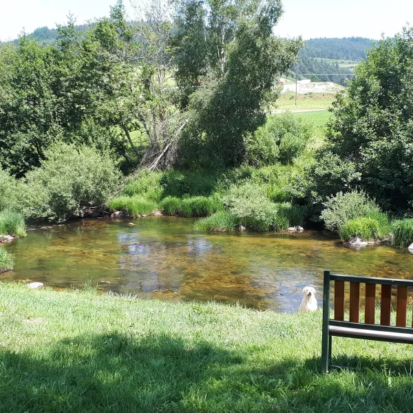 la-cigale-de-lallier-langogne-imdvi