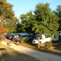 koawa-au-paradis-des-campeurs-frankrijk-vq7us