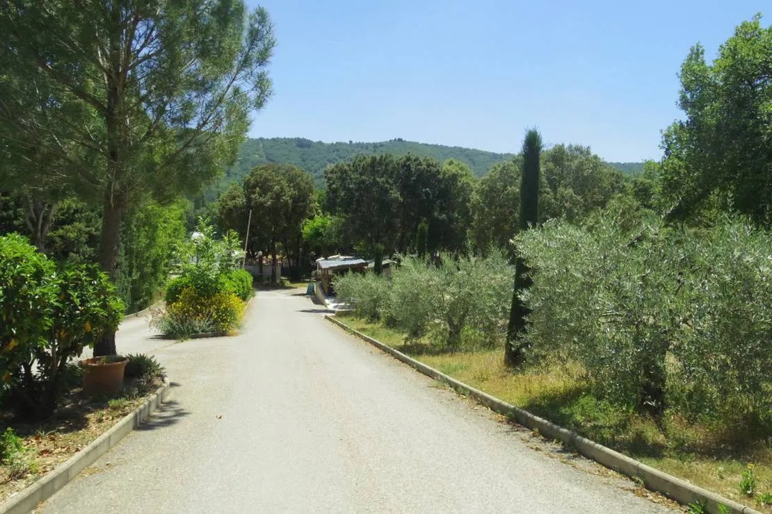 camping-le-mas-st-pierre-st-julien-d-asse-csbrm