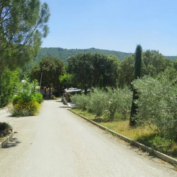 camping-le-mas-st-pierre-st-julien-d-asse-csbrm