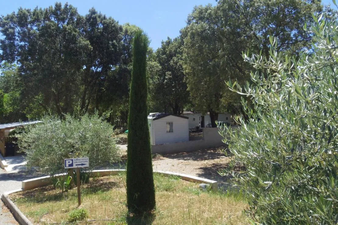camping-le-mas-st-pierre-st-julien-d-asse-iemyn
