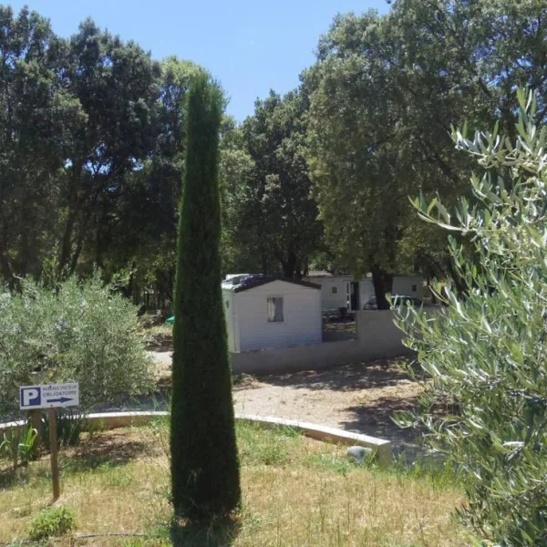 camping-le-mas-st-pierre-st-julien-d-asse-iemyn