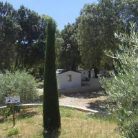 camping-le-mas-st-pierre-st-julien-d-asse-iemyn