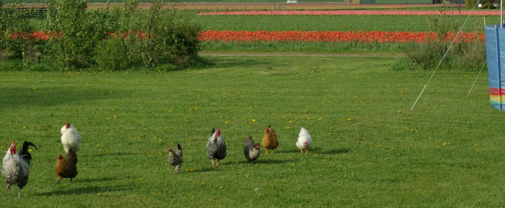 Eindeloos