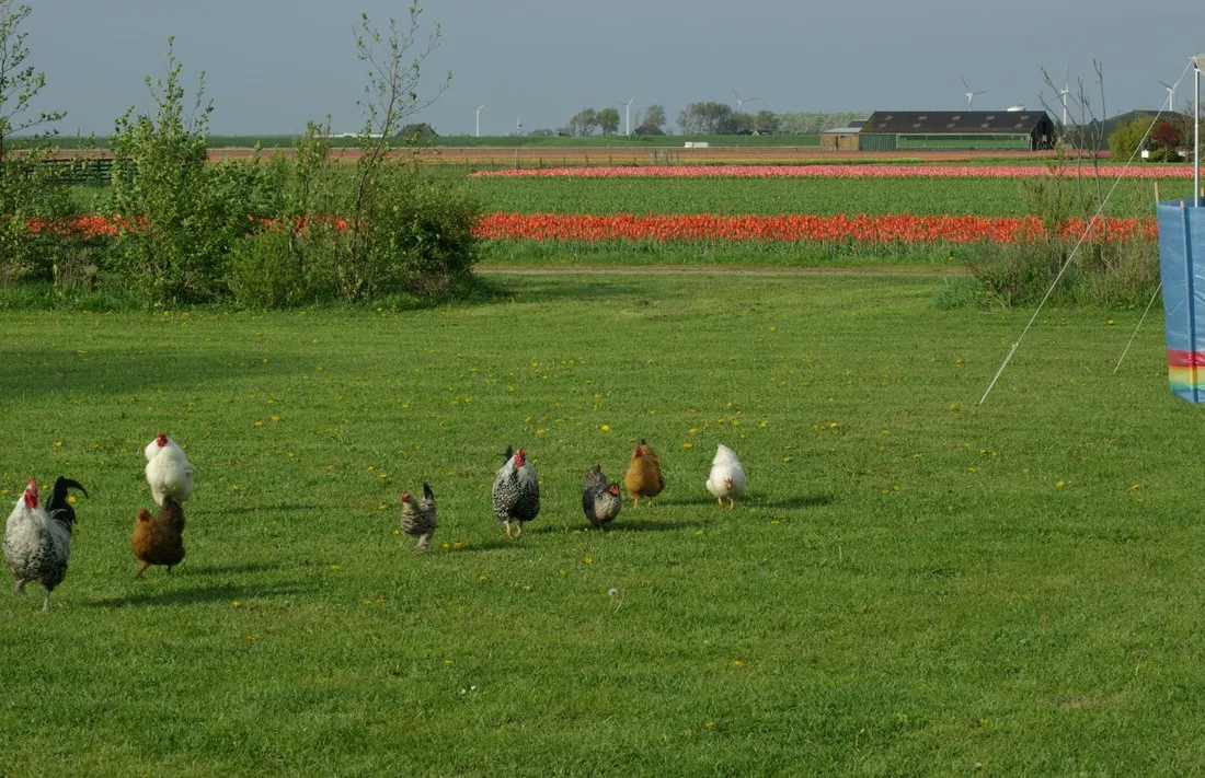 eindeloos-t-zand-yrw5l