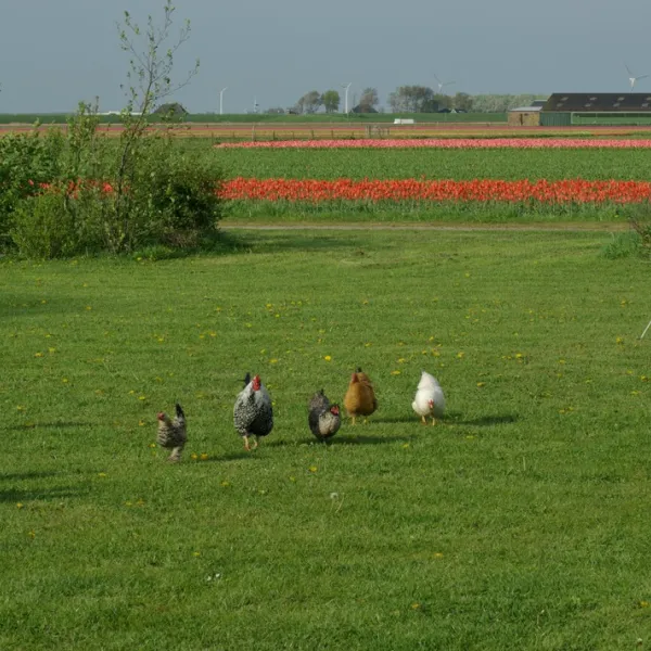 eindeloos-t-zand-yrw5l