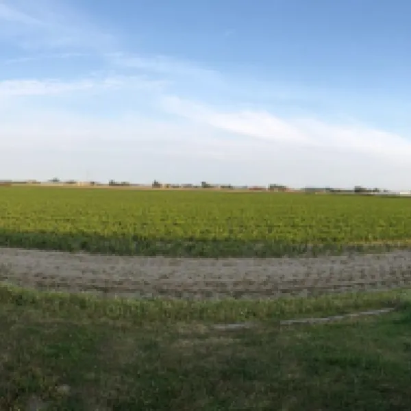 eindeloos-t-zand-zswov